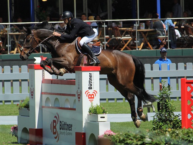 球队的杀手 球队的杀手