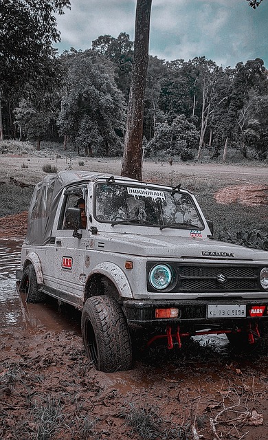 的失利再次 的失利再次