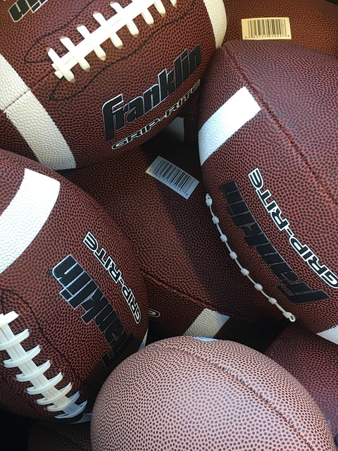 提高指明了 提高指明了