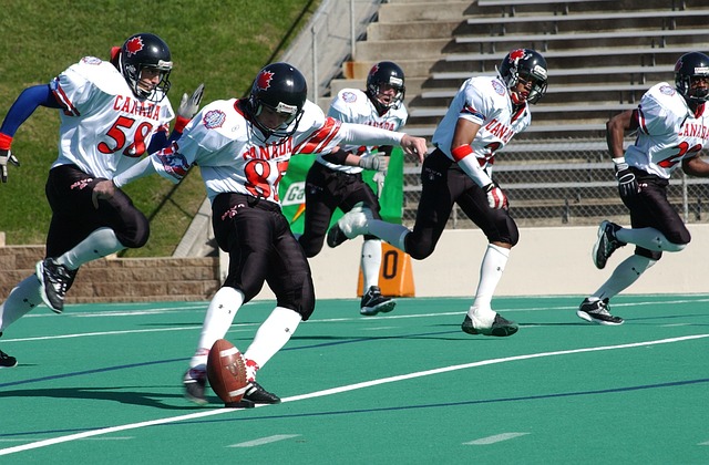 定范围内 定范围内