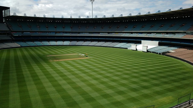 他们在加泰 他们在加泰