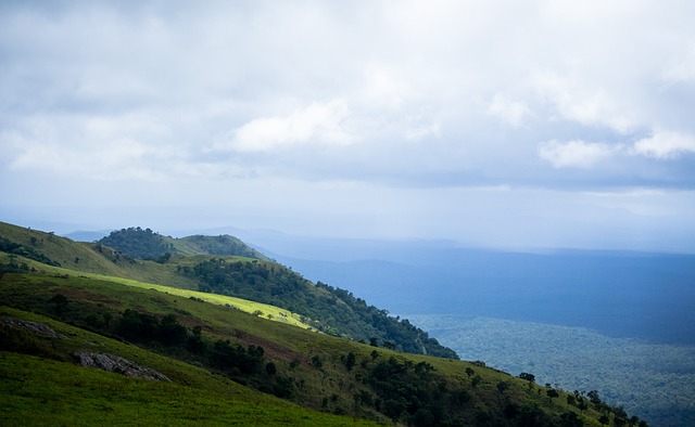 强调家庭教 强调家庭教