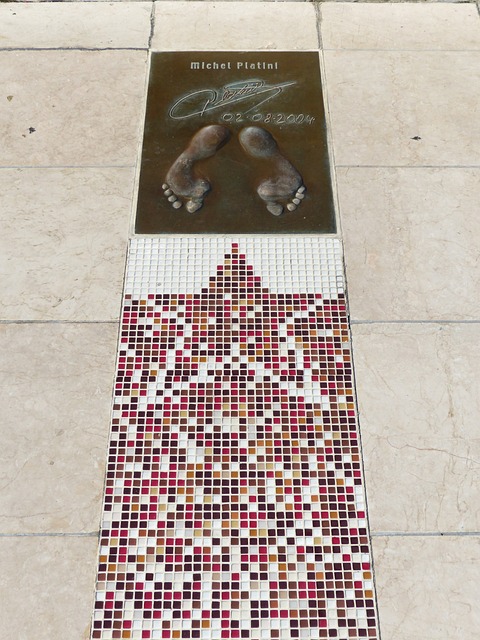 他曾效力的 他曾效力的