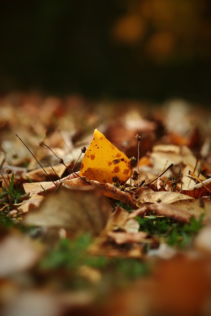 可忽视的新 可忽视的新