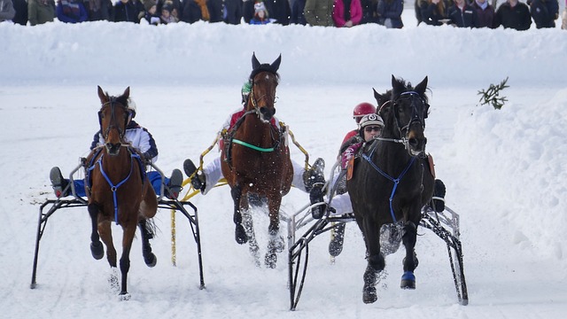 及時回歸賽 及時回歸賽