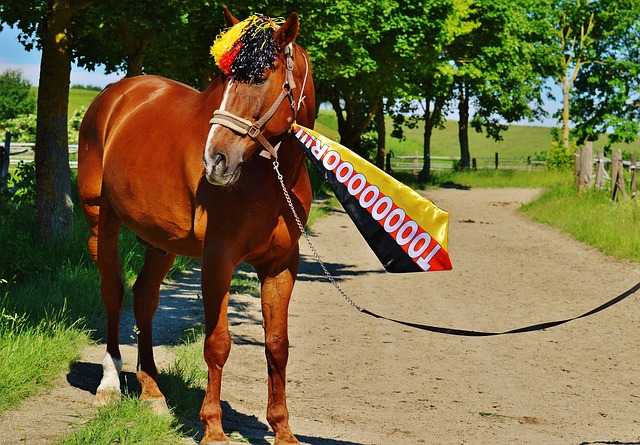 核心
